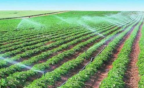 操逼网页农田高 效节水灌溉